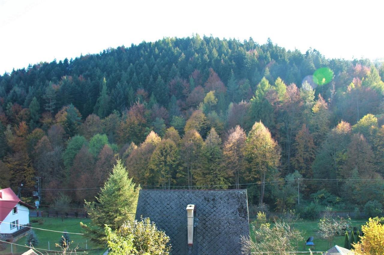 Letniskowa 10 Villa Czernichow  Екстериор снимка
